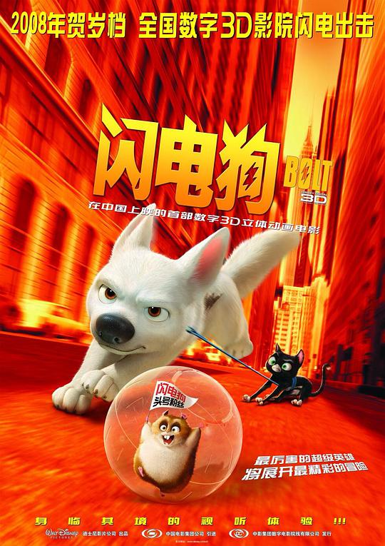 闪电狗封面图