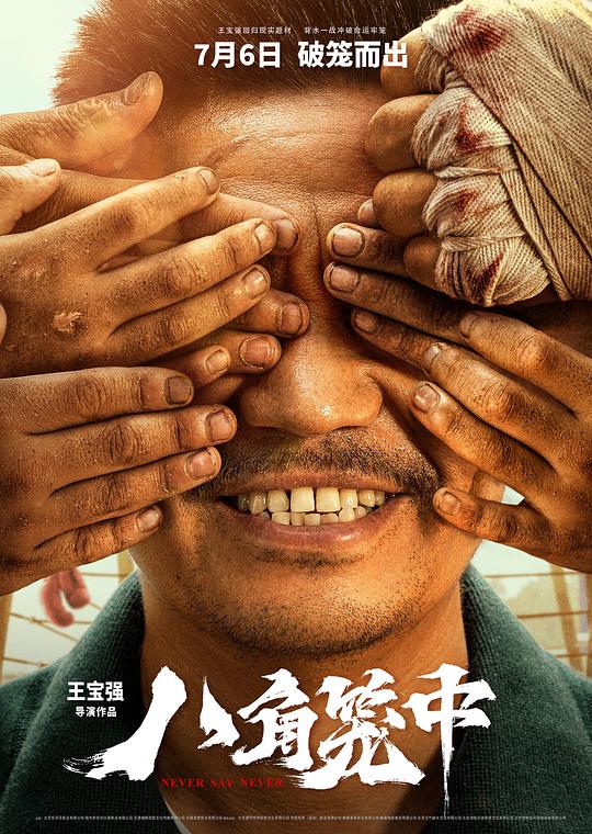 八角笼中封面图