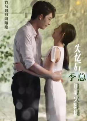 失忆后季总追妻火葬场封面图